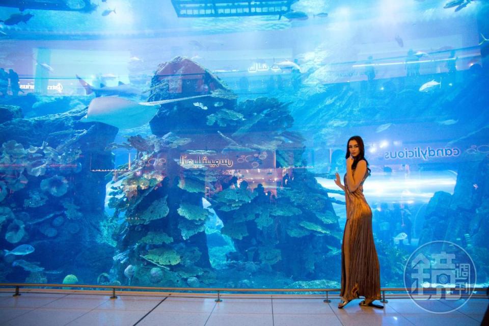 宛如美人魚的美女遊客，也在水族館前拍照紀念。