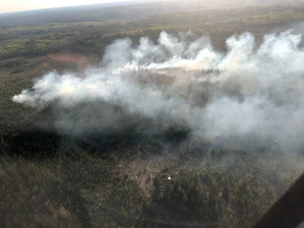 A forest fire near Falmouth, N.S., measures about two hectares, but is not expected to spread. (Department of Lands and Forestry  - image credit)