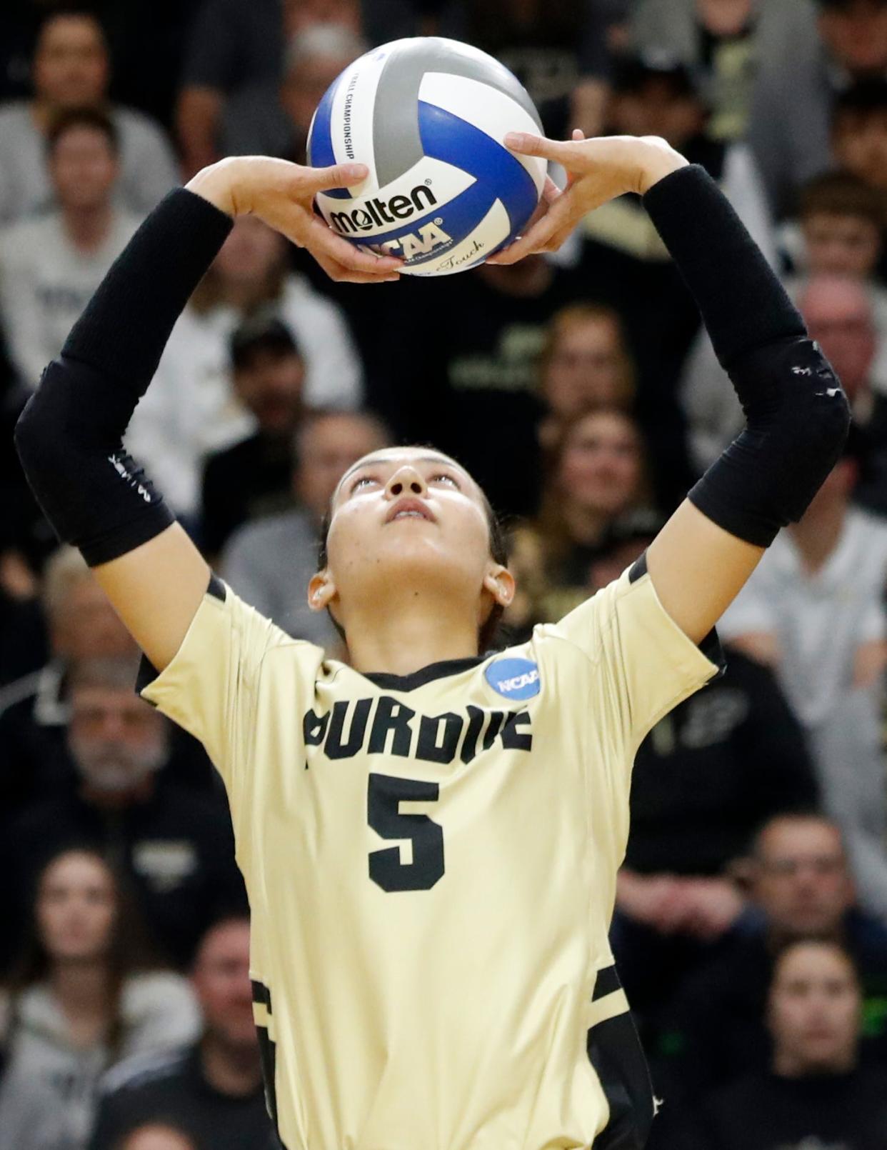 Purdue setter Taylor Anderson now has the program record for most assists in a match, set Friday night with 60 against Marquette.