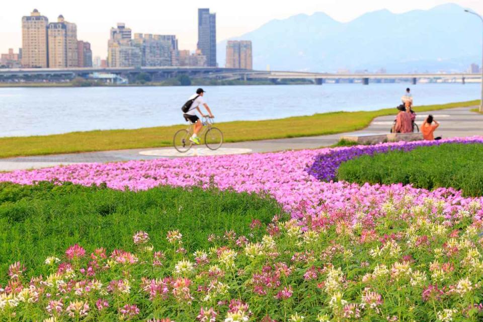 延平河濱花海（圖片來源：台北市水利處）