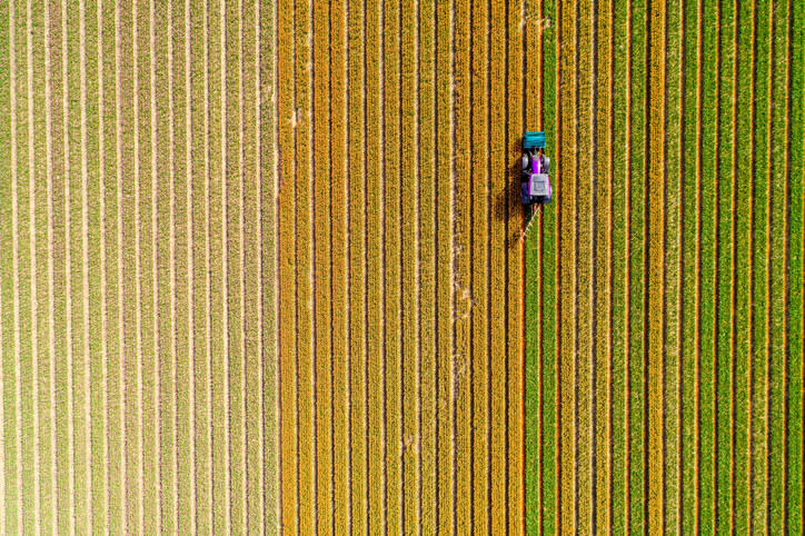 A bird's eye view of a combine in a field.