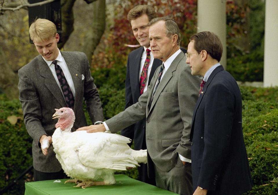 President George H.W. Bush gestures during a Rose Garden ceremony Tuesday, Nov. 24, 1992 where he pardoned a Thanksgiving turkey presented by the National Turkey Federation. From left: Chuck Helms, Bruce Cuddy, and Stuart Proctor. (Photo: Ron Edmonds/AP)