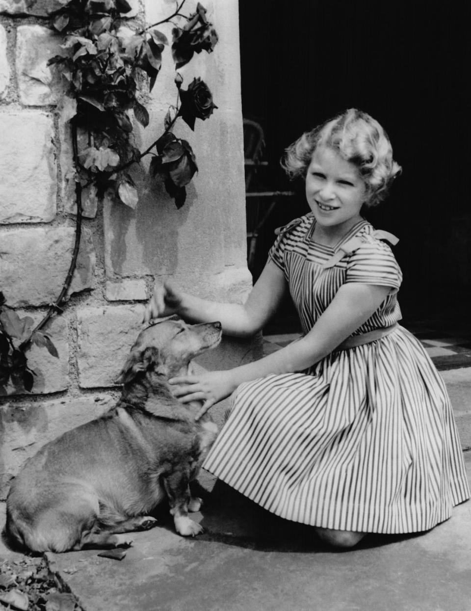 <p>Princess Anne pets a corgi—who really seems to be enjoying the attention—at Windsor Castle.</p>