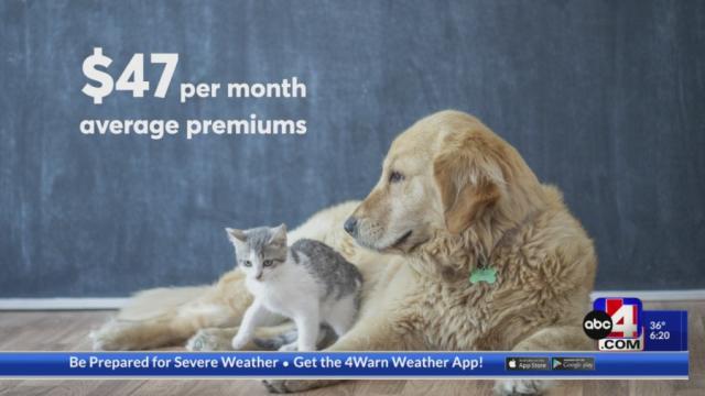 is pet insurance worth it for a puppy