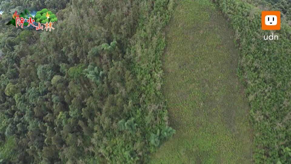 民國110年4月12日，南投魚池國中後方林班地(埔里73林地)發生火災，延燒面積約13座足球場的面積，如今三年過去了，空拍鏡頭仍顯見火吻過的痕跡。記者王彥鈞／攝影