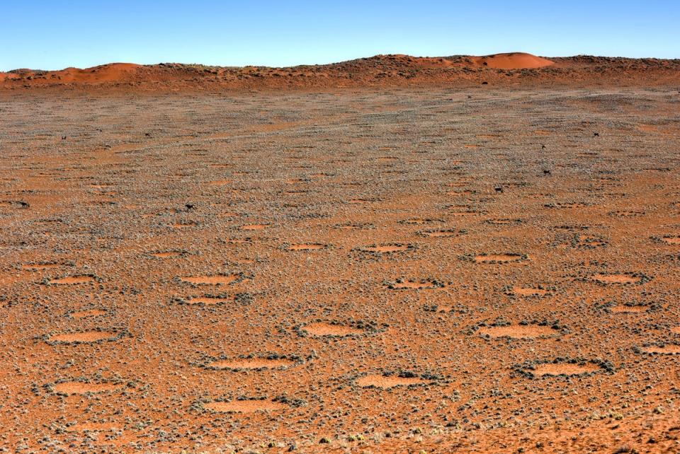 So-called fairy circles, located in the Namib Desert, in the Namib-Naukluft National Park of Namibia. Their presence is a sign that hydrogen is escaping from the Earth (Getty Images/iStockphoto)