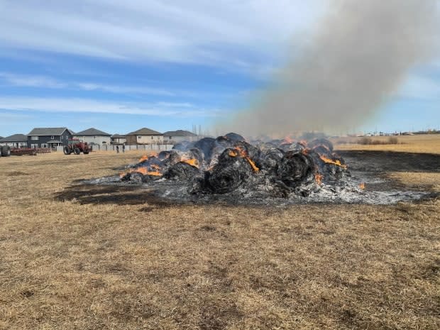 Parkland RCMP and the Parkland Fire Department responded to reports of an arson north of Highway 16A and west of Jennifer Heil Way in Spruce Grove, Alta., on Saturday. (Submitted by Parkland RCMP - image credit)