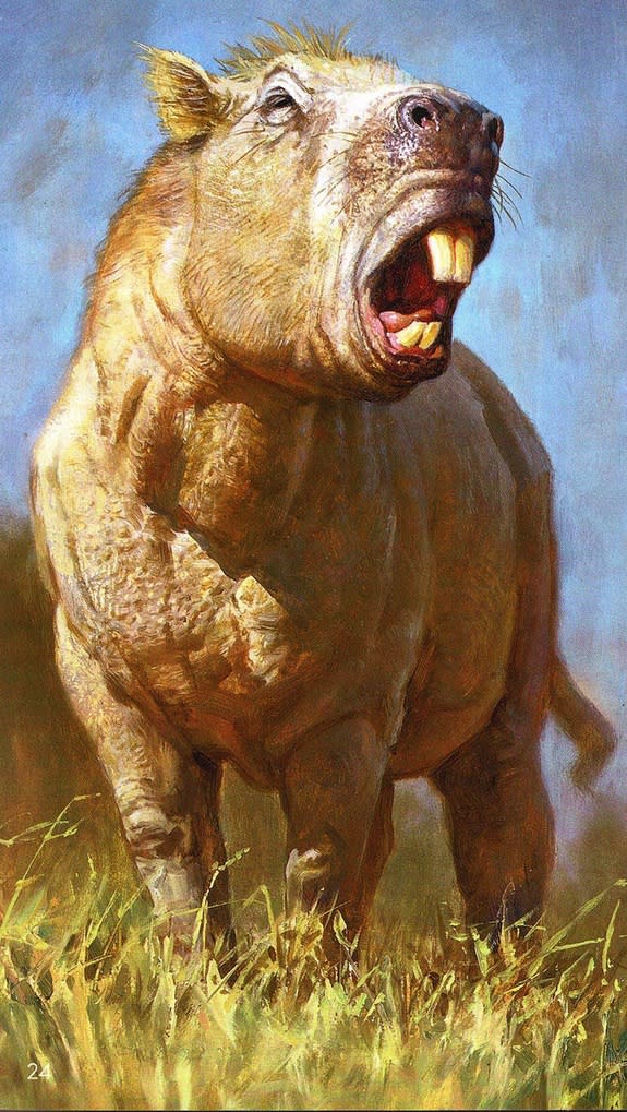 An illustration of the giant rodent <i>Josephoartigasia monesi</i>. The overgrown rodent was bigger than a buffalo and had giant teeth that it used like elephant tusks.