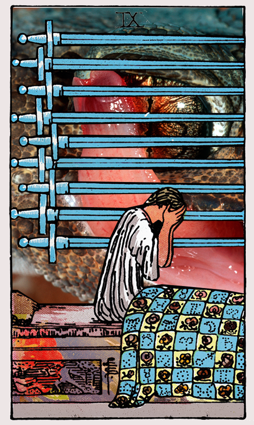 nine of swords tarot card