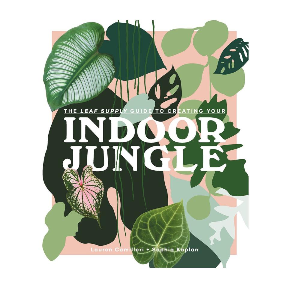 The Leaf Supply Guide to Creating Your Indoor Jungle