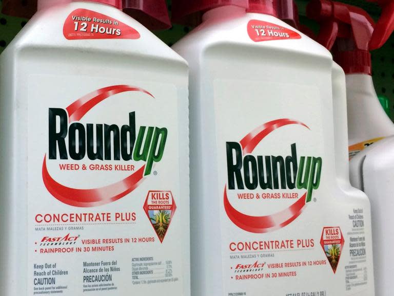 Roundup weed killer ‘substantial factor’ in causing man’s cancer, jury finds
