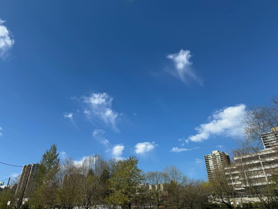 ‘Jellyfish’ clouds caught by KOIN 6 Meteorologist Josh Cozart on Tuesday, April 2, 2024.