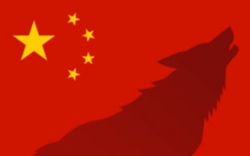 ▲習近平2012年上台以來，中國採「戰狼外交」路線，至今根本性戰略目標未曾動搖。（圖／取自 apcss.org ）