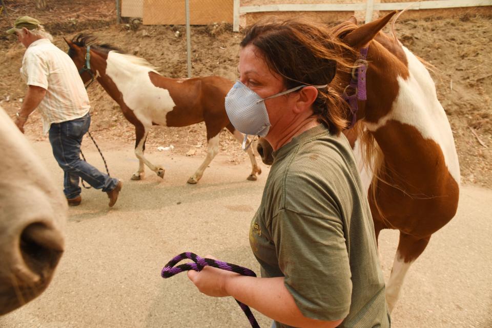 <p>Bonnie Murphy is able to evacuate her horses with the help of good samaritan neighbor Bill Ray Orme (L) who was offering his horse transport to help neighbors evacuate livestock as the La Tuna fire covers the Shadow Hills neighborhood of Los Angeles, Calif. in thick smoke, Sept. 2, 2017. (Photo: Robyn Beck/AFP/Getty Images) </p>