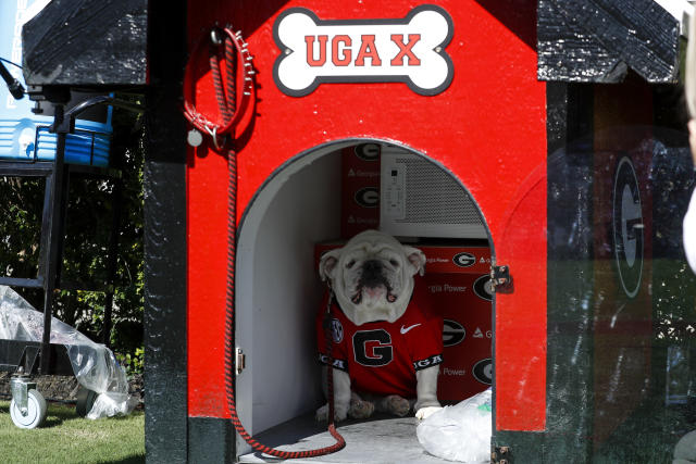 Uga XI, a puppy named Boom, was introduced at the Georgia spring game