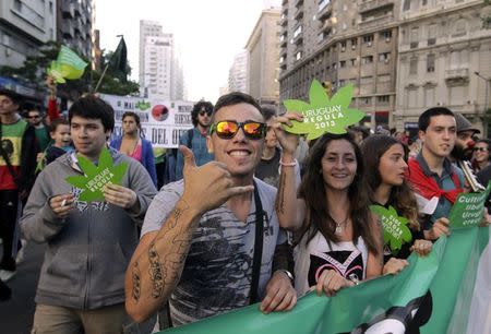 People participate in the so-called "Last demonstration with illegal marijuana" on their way to the Congress building in Montevideo, as Senate debates a government-sponsored bill establishing state regulation of the cultivation, distribution and consumption of marijuana during a session, in this file picture taken December 10, 2013. REUTERS/Andres Stapff/Files