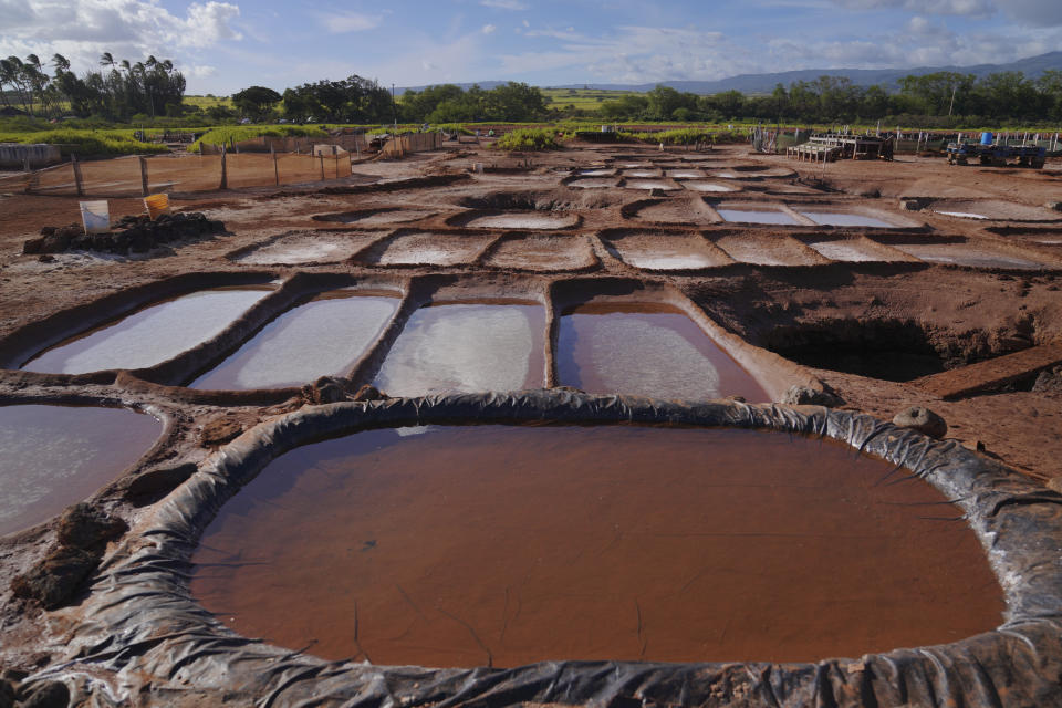 Salt water evaporates in the mid-summer sun leaving behind layers of salt crystals at the Hanapepe salt patch on Sunday, July 9, 2023, in Hanapepe, Hawaii. Each year, 22 Native Hawaiian families keep the tradition alive by tending to the salt ponds. The salt they make can only be traded or given away. (AP Photo/Jessie Wardarski)