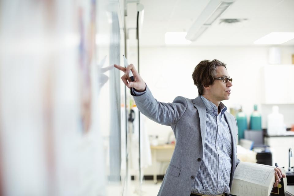 <p><strong>Nº 5 empleo mejor pagado: Profesor universitario y catedrático</strong><br>Promedio de salario por hora a tiempo completo: 58,10 dólares<br>(Hero Images/Getty Images) </p>