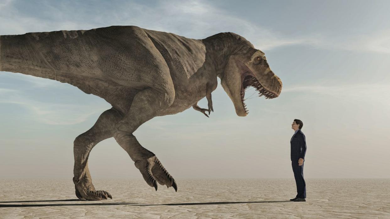 man looking up to an aggressive dinosaur , tyrannosaurus rex the concept of courage this is a 3d render