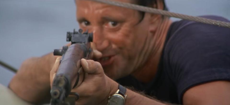 Brody pointing a rifle in "Jaws"