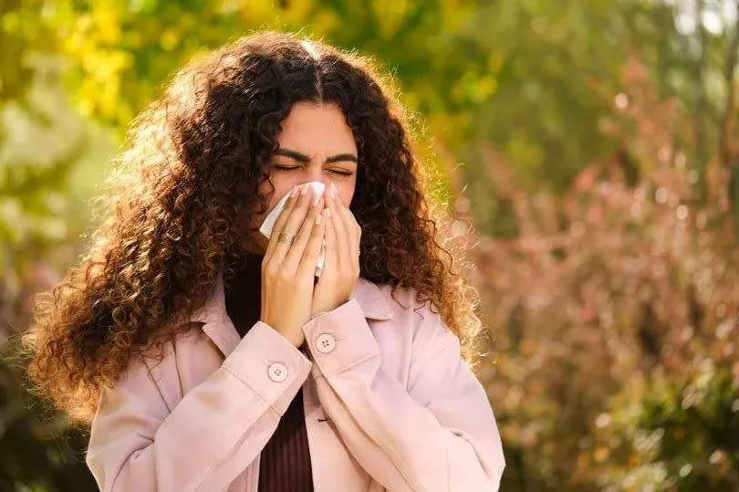 An expert has explained the difference between a cold and hay fever