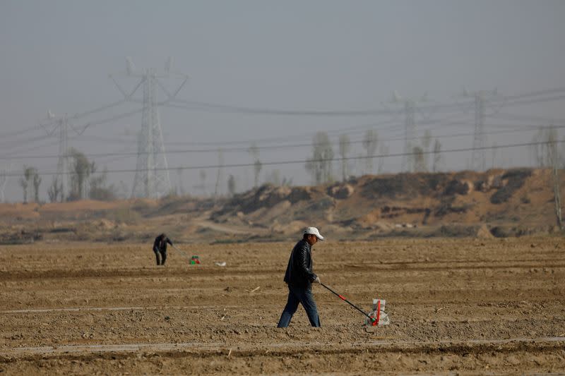 FILE PHOTO: Workers use planters to plant corn seeds on the fields in a village on the outskirts of Wuwei