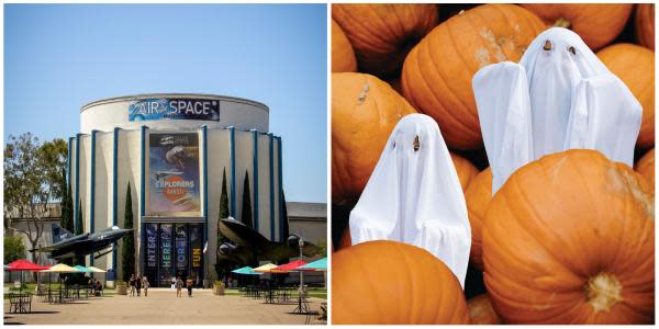 Balboa Park inicia festejos de Halloween con el Pumpkin Chuckin