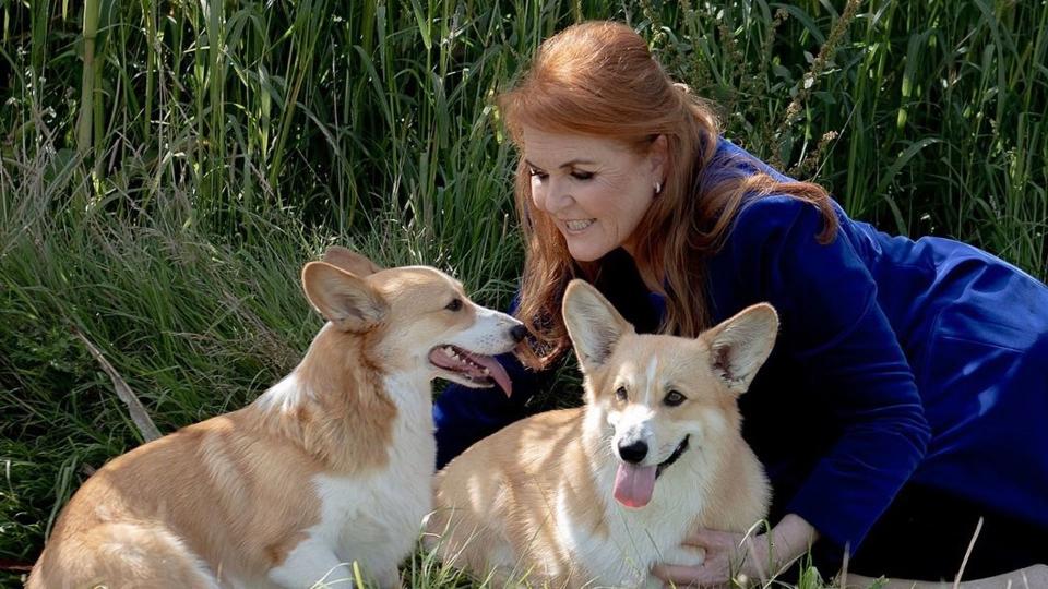 The Duchess of York now looks after the late Queen's Corgis at Royal Lodge