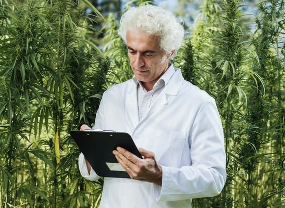 A researcher in a white lab coat making notes on a clipboard in the middle of a hemp grow farm.