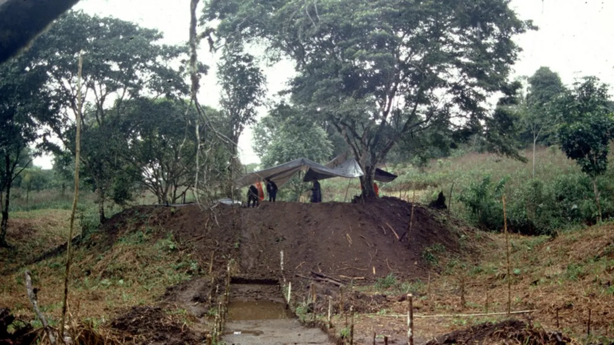 Los científicos en una excavación