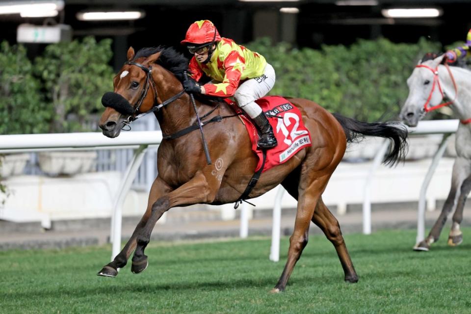 Astrologer is a three-time winner over 6 furlongs at Happy Valley