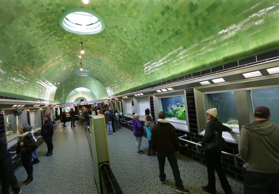 Visitors stroll around the Belle Isle Aquarium on Friday, Nov. 24, 2017.