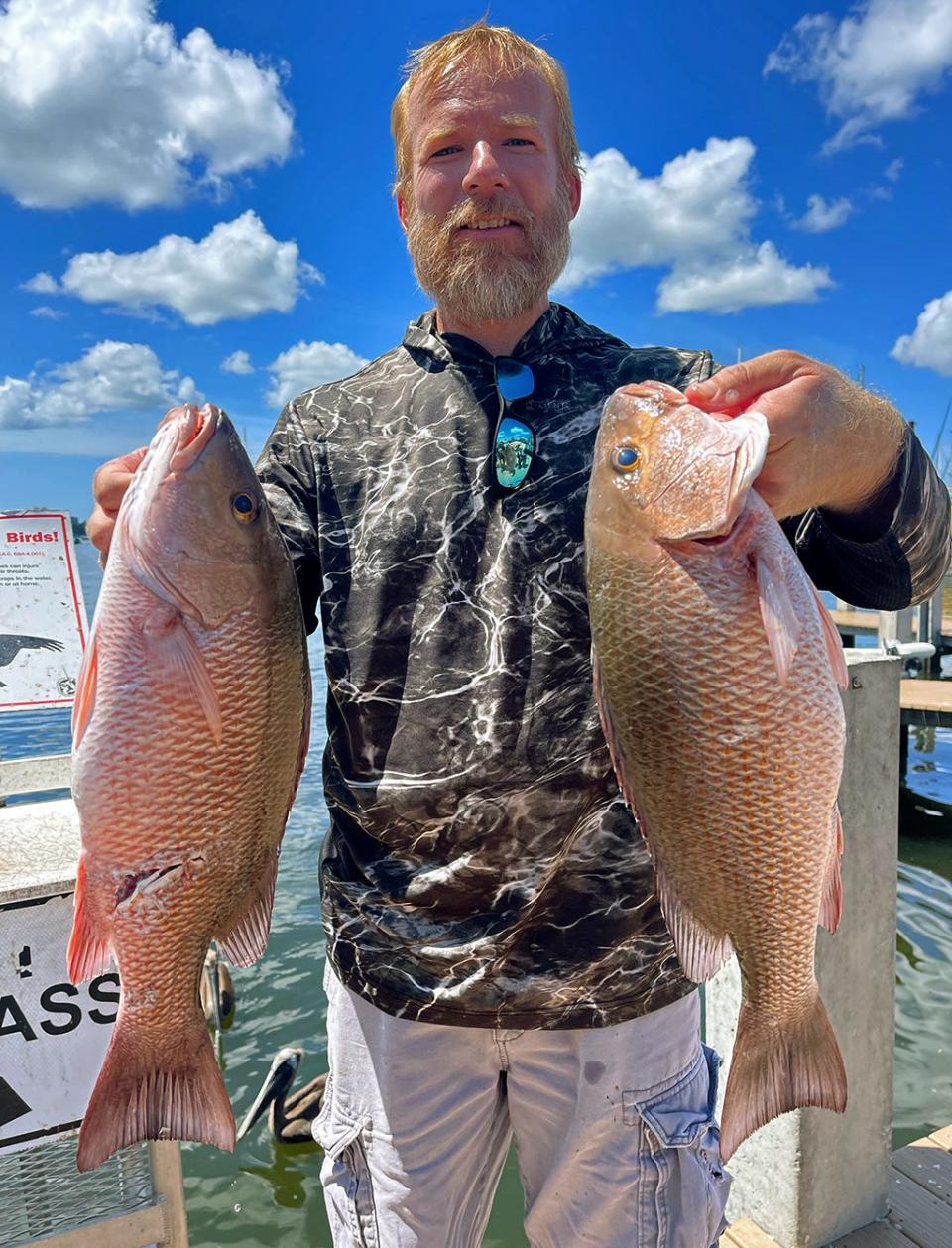 Nathan Meyer of Lakeland, caught these big, keeper mangrove snapper while fishing in lower Tampa Bay with Capt. Capt. John Gunter this week.