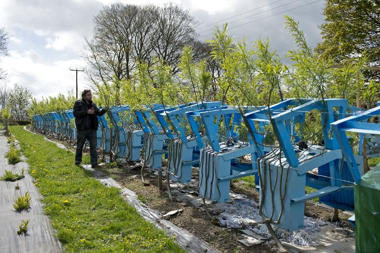 Deep in the English countryside, 150 armchairs and 100 lampshades are being grown directly out of the ground