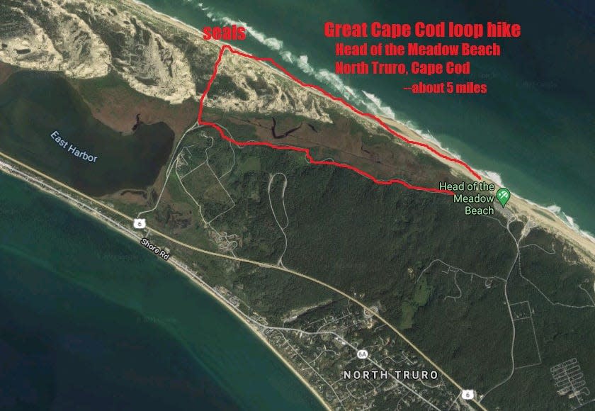 A map of the approximately five-mile hike, with route outlined in red. I started at the Head of the Meadow Beach parking lot, headed north along the beach, then cut inland on an ORV road to the Head of the Meadow bike trail, which took me back to my car--a great loop!