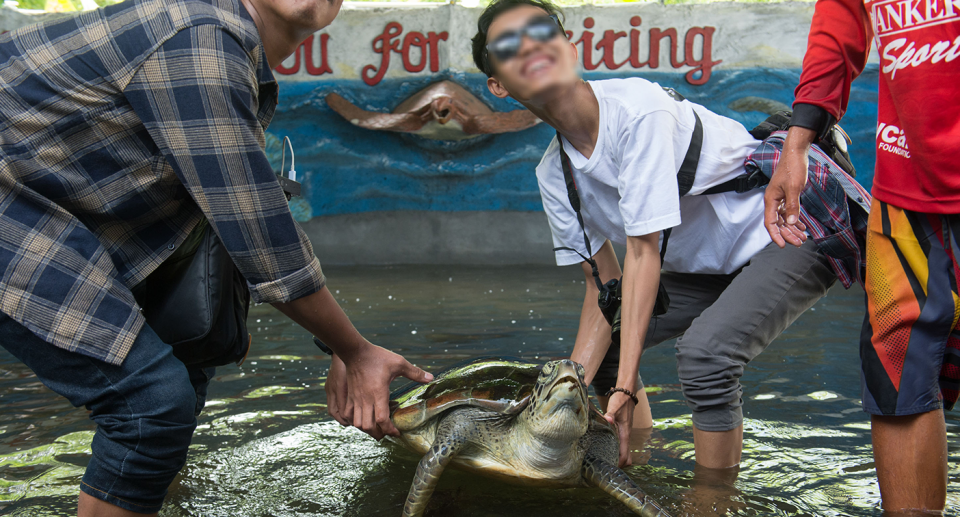 Two tourists lift a sea turtle out of a tank to pose with it. 