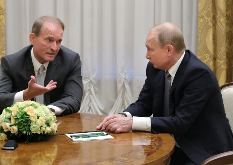 Le président russe Vladimir Poutine avec l'homme politique ukrainien pro-russe Viktor Medvedtchouk à Saint-Pétersbourg, le 18 juillet 2019 - Mikhail KLIMENTYEV © 2019 AFP