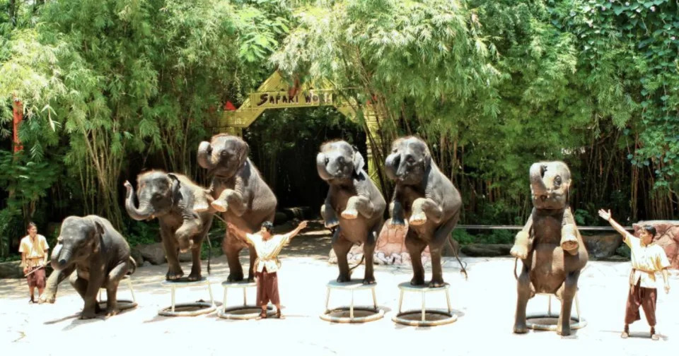 &#x006cf0;&#x00570b;&#x0065c5;&#x00904a;&#x00ff5c;&#x0066fc;&#x008c37;&#x0091ce;&#x00751f;&#x0052d5;&#x007269;&#x005712;Safari World&#x005305;&#x008eca;&#x004e00;&#x0065e5;&#x00904a;&#x00512a;&#x0060e0;&#x00ff01;&#x006bcf;&#x004f4d;&#x006700;&#x005e73;$374&#x003001;&#x009152;&#x005e97;&#x0063a5;&#x009001;&#x0076f4;&#x009054;&#x005712;&#x005340;&#x0073a9;&#x006a02;