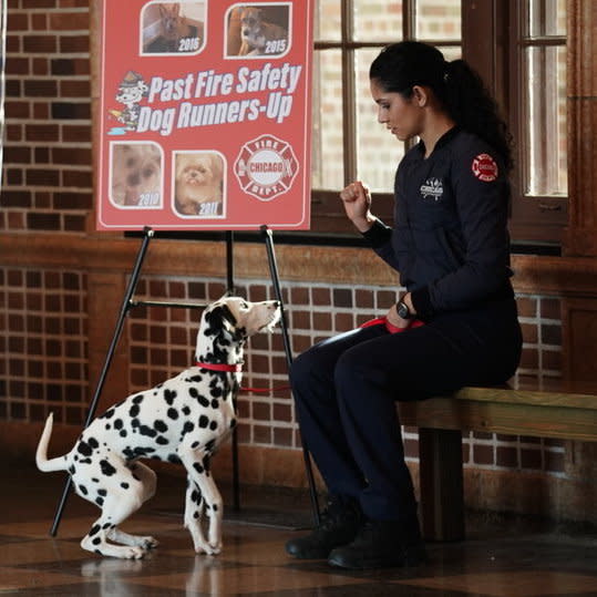 Chicago Fire Dog