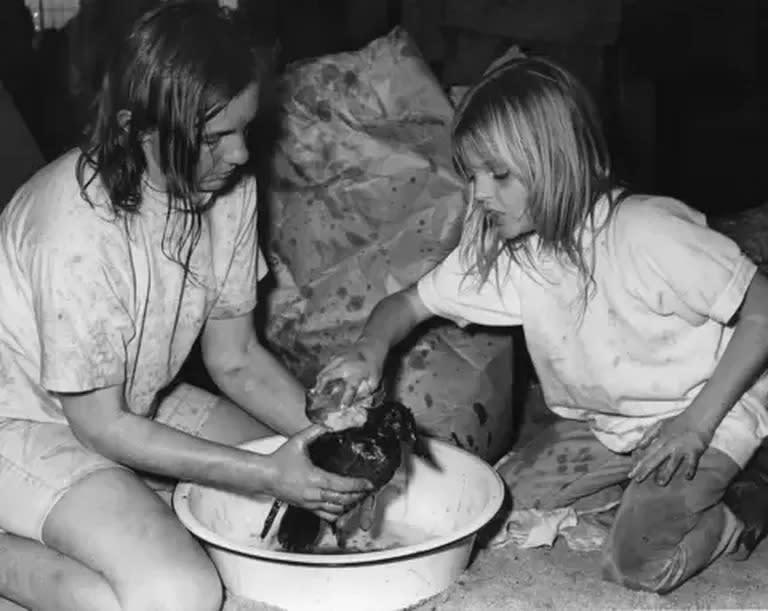 El detonador fue un desastre. (Voluntarias limpiando un pato en California, víctima del choque de enero 1971 que derramó 800.000 galones de petróleo).