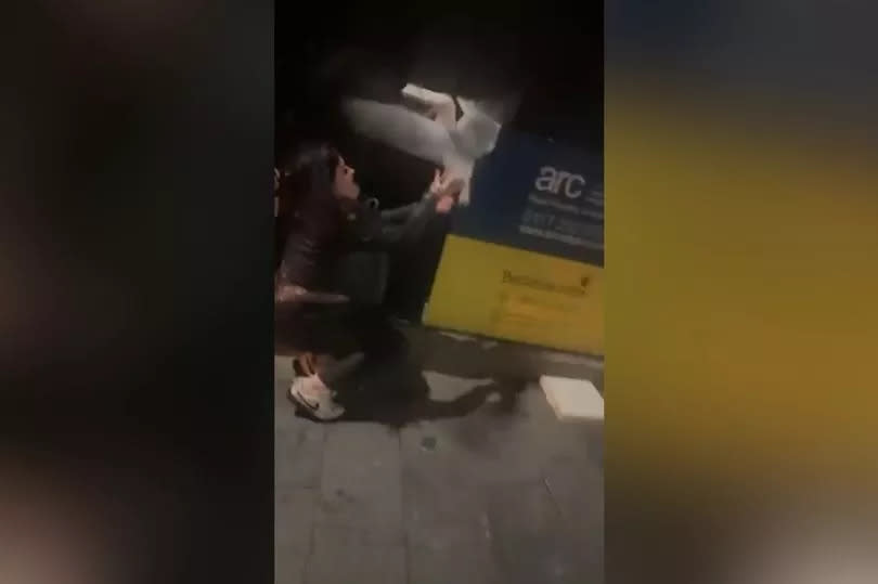 Video grab of Sinead Murphy rescuing a seagull in Torquay
