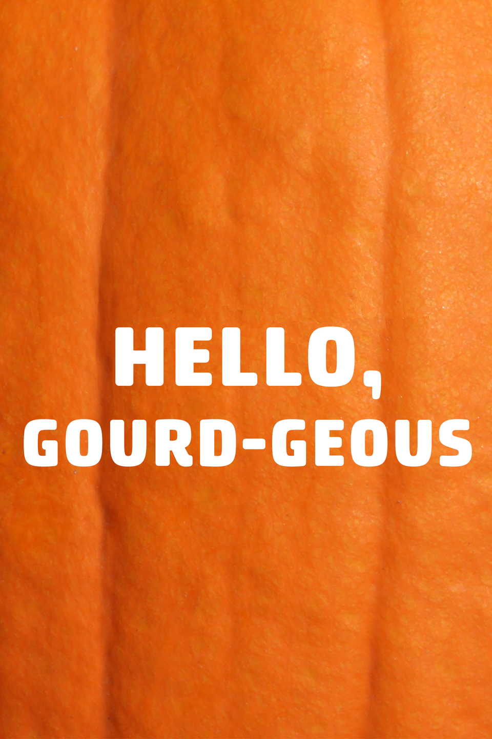 33) Hello, Gourd-Geous