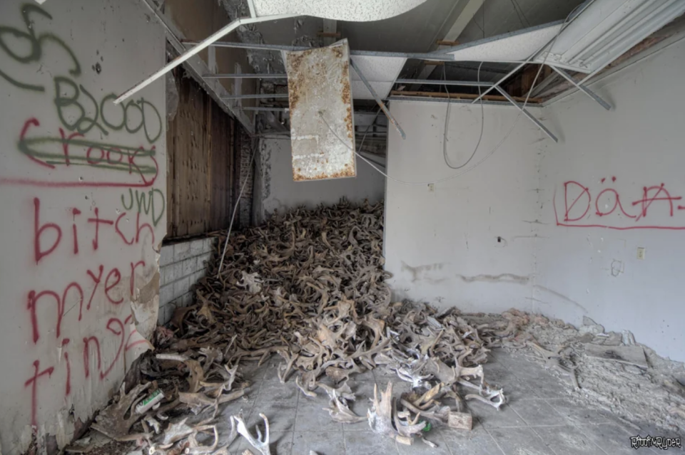 Bones in an abandoned building