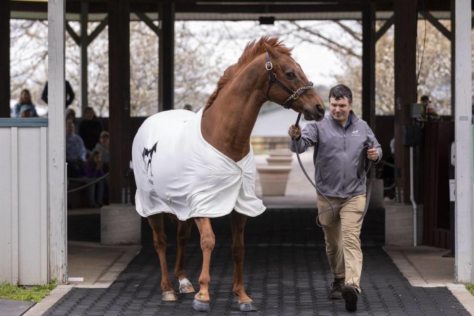 Funny Cide exits after the Hall of Champions show with equine worker Paul Kaywood at the Kentucky Horse Park in April of 2022. The 2003 Kentucky Derby and Preakness Stakes winner was one of the park’s most popular attractions.
