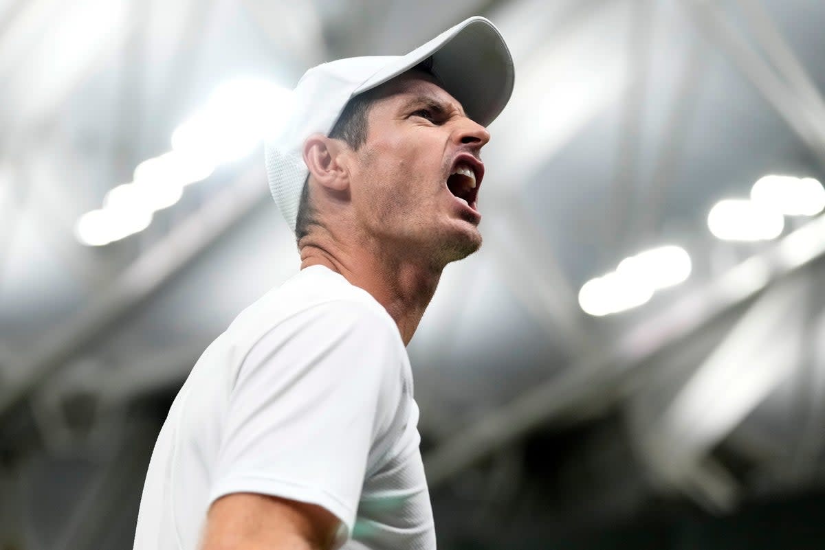 Thriller: Andy Murray  (AP)