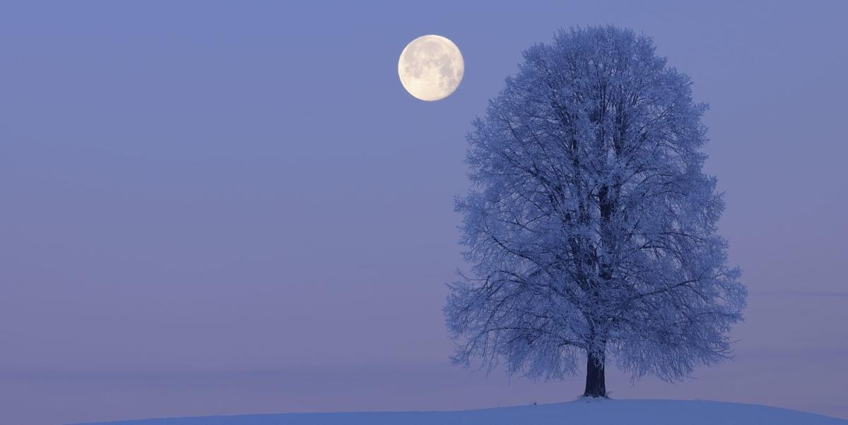 The Full Snow Moon In Leo Is Here, And It Wants You To Listen To Your Heart