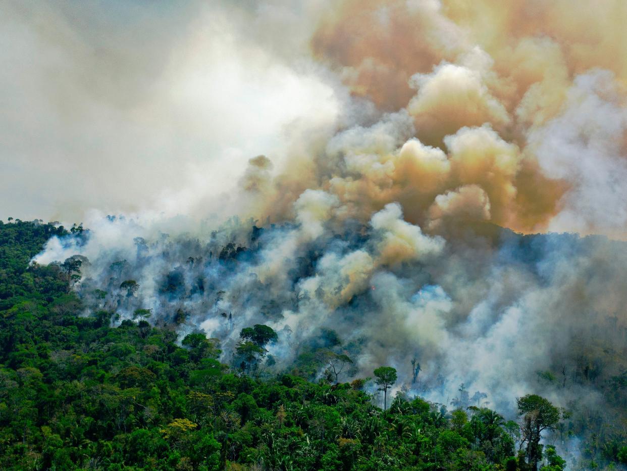 Aerial view of a burning area of Amazon rainforest reserve, south of Novo Progresso in Para state, on August 16, 2020.  (AFP via Getty Images)