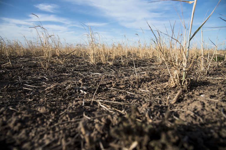 En los últimos tres años el campo argentino sufrió una de las mayores sequías de la historia; según los especialistas, esto se debe, en parte, a cuestiones climáticas naturales, pero también a la acción de los seres humanos