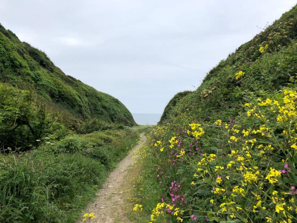 The path to St Ninian’s Cave (Rachel Mills)