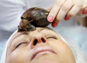 <div class="caption-credit"> Photo by: Reuters</div><div class="caption-title">Snail anti-aging masque</div>In the Siberian city of Krasnoyars, snail slime is the fountain of youth. At a spa in the Russian metropolis, African mollusks of varying sizes are placed on the face and body. Their excretions, rich in glycolic acid and elastin, are believed to reduce wrinkles, scars and signs of aging. Unfortunately, the procedure also increases the signs of snails on your face. <br>